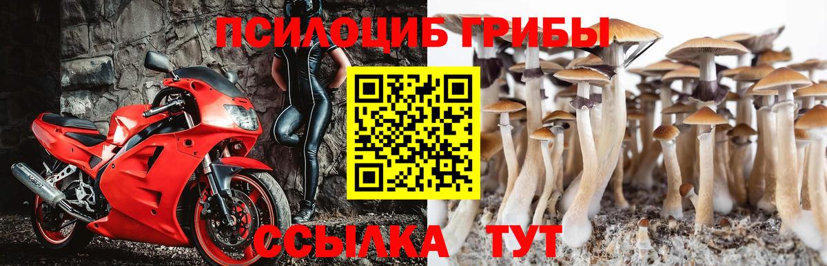 как найти наркотики  Псилоцибиновые грибы ЛСД  Вход с VPN  Абакан 