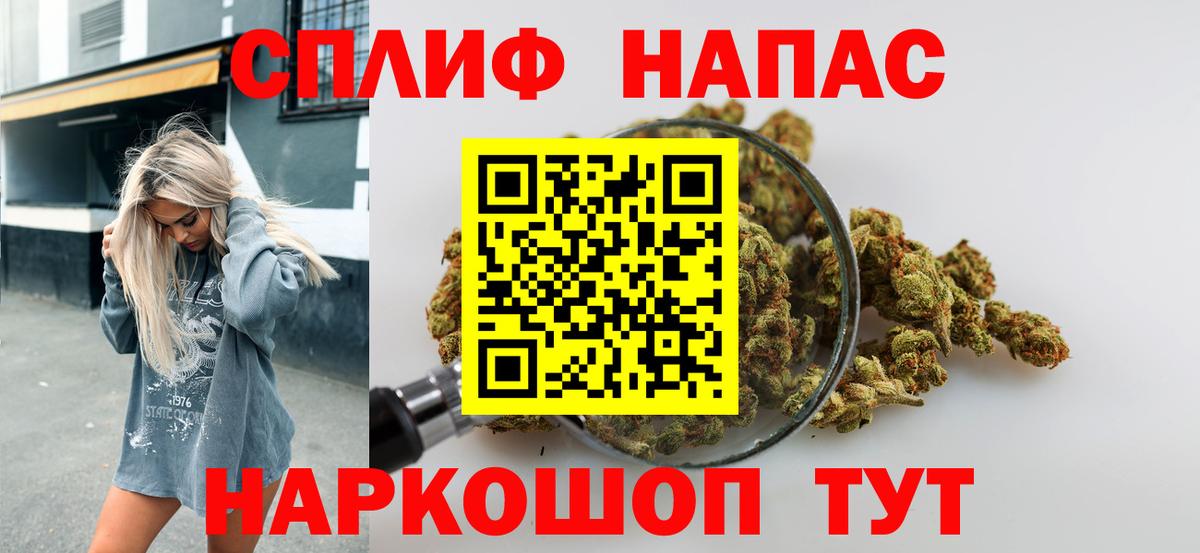 Конопля гибрид Абакан